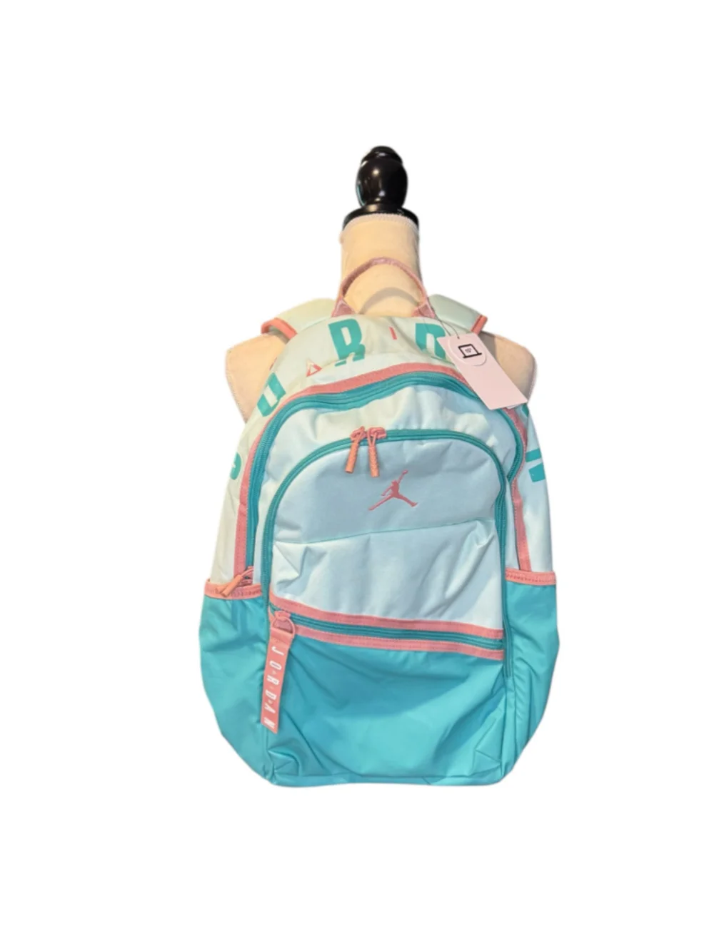 Women's Jordan Backpack One Size Blue and Pink